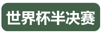 世界杯半决赛