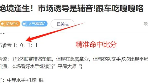 帕夫洛维奇呼吁：频繁错失良机，迫切需要团结，罕见逆境考验团队精神